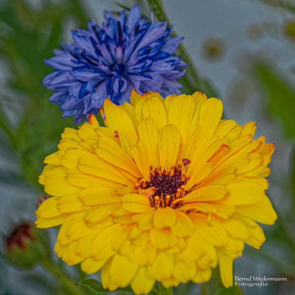 M05P0857_DxO-LR-20190727-2022_Instagram_85-2.jpg